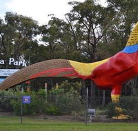 Gumbuya Park - Accommodation Nelson Bay