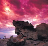 Kangaroo Island Adventure Tour 2 day/1 night - Accommodation Nelson Bay