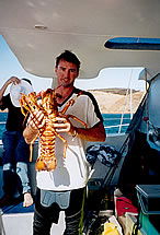 Temptation Sailing - Accommodation Nelson Bay 3