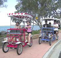 Beach Safaris - Accommodation Nelson Bay