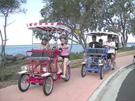 Beach Safaris - Accommodation Nelson Bay 0