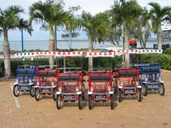 Beach Safaris - Accommodation Nelson Bay 1