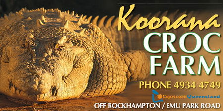 Koorana Saltwater Crocodile Farm - Accommodation Nelson Bay 0