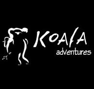 Koala Adventures - Accommodation Nelson Bay