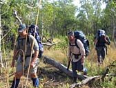 Adventure Out - Accommodation Nelson Bay 3