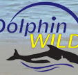 Dolphin Wild - Accommodation Nelson Bay