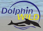 Dolphin Wild - Accommodation Nelson Bay 0