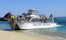 Dolphin Wild - Accommodation Nelson Bay 2