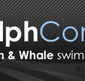 Dolphcom - Dolphin  Whale Swimming Adventures - Accommodation Nelson Bay