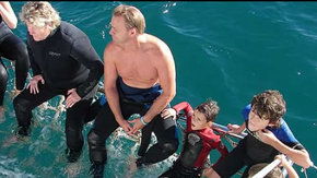 Dolphcom - Dolphin & Whale Swimming Adventures - Accommodation Nelson Bay 2