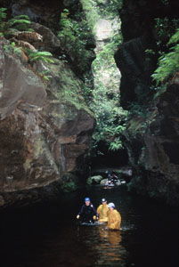 High And Wild Mountain Adventures - Accommodation Nelson Bay 1