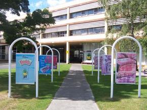 Cadbury Chocolate Factory Tour - Accommodation Nelson Bay 2