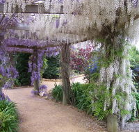Abingdon Miniature Village - Accommodation Nelson Bay