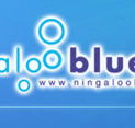 Ningaloo Blue Dive - Accommodation Nelson Bay
