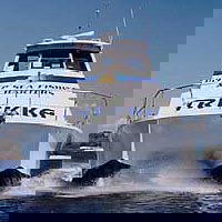 Sunshine Coast Fishing Charters - Accommodation Nelson Bay 0