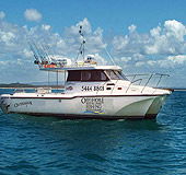 Sunshine Coast Fishing Charters - Accommodation Nelson Bay 1