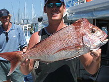 Sunshine Coast Fishing Charters - Accommodation Nelson Bay 2
