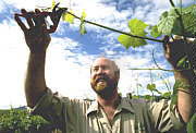 Barossa Valley SA Accommodation Nelson Bay