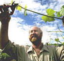 Barossa Experience Tours - Accommodation Nelson Bay