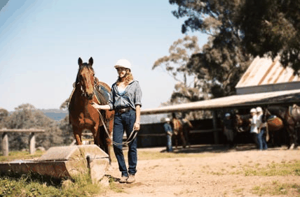 Watsons Trail Rides - Accommodation Nelson Bay