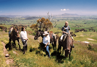 Watsons Trail Rides - Accommodation Nelson Bay 2