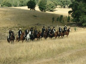 McCormacks Mountain Valley Trail Rides - Accommodation Nelson Bay