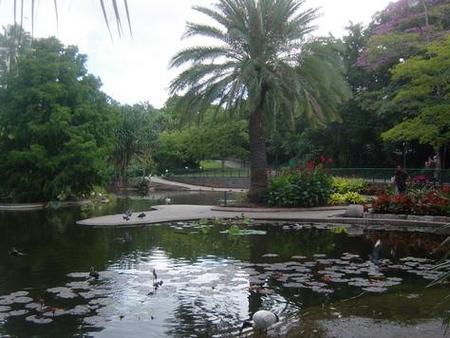 Brisbane City Botanic Gardens - Accommodation Nelson Bay 0