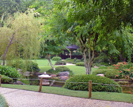Brisbane City Botanic Gardens - Accommodation Nelson Bay 1
