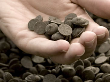 Margaret River Chocolate Company - Accommodation Nelson Bay 1