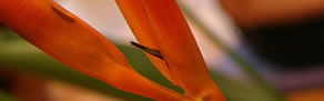 Zen Day Spa - Accommodation Nelson Bay 0