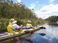 Kanu Kapers - Accommodation Nelson Bay 3