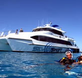 Silver Swift - Accommodation Nelson Bay