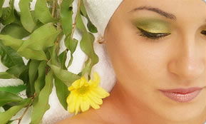 Indica Spa - Accommodation Nelson Bay 1