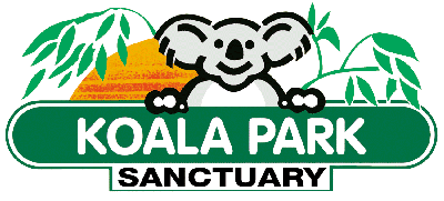 Koala Park Sanctuary - Accommodation Nelson Bay