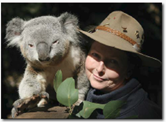 Koala Park Sanctuary - Accommodation Nelson Bay 2