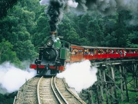 Gray Line Tours Melbourne - Accommodation Nelson Bay 1