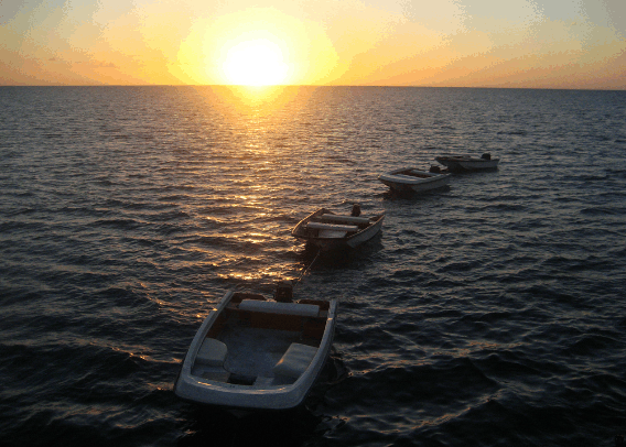 Carlo Fishing Charters - Accommodation Nelson Bay 2