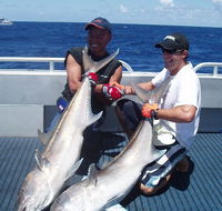 Blue Juice Charters - Accommodation Nelson Bay