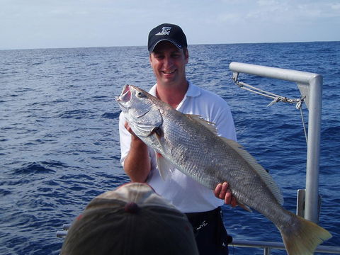 Blue Juice Charters - Accommodation Nelson Bay 1