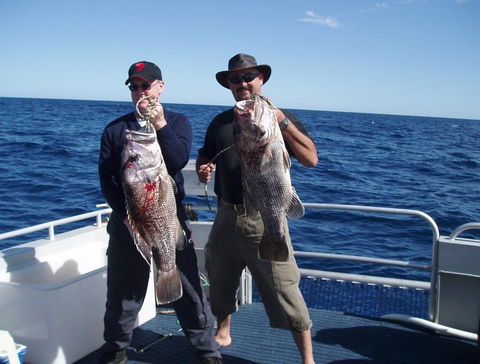 Blue Juice Charters - Accommodation Nelson Bay 2