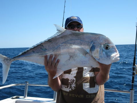 Blue Juice Charters - Accommodation Nelson Bay 4