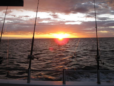 Blue Juice Charters - Accommodation Nelson Bay 5
