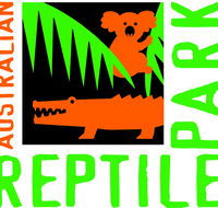 Australian Reptile Park - Accommodation Nelson Bay