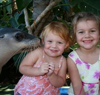 Dolphin Marine Magic - Accommodation Nelson Bay