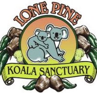 Lone Pine Koala Sanctuary - Accommodation Nelson Bay
