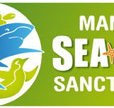 Manly SEA LIFE Sanctuary - Accommodation Nelson Bay