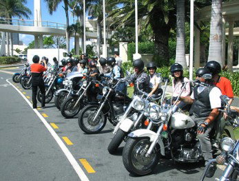 Wildfire Tours - Accommodation Nelson Bay 1