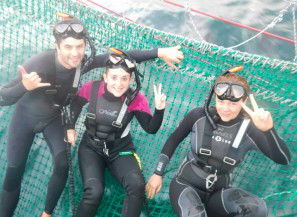 Dolphin Swim Australia - Accommodation Nelson Bay 7