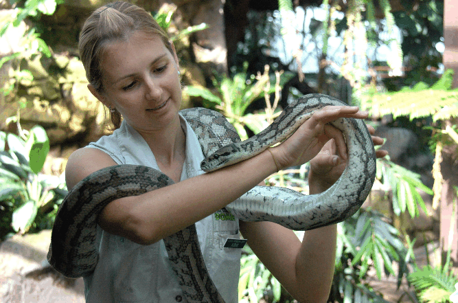 Cairns Wildlife Dome - Accommodation Nelson Bay 2