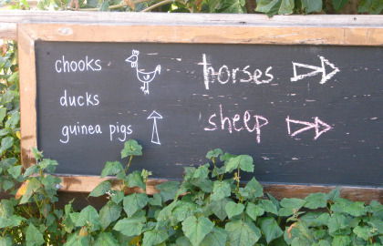 Collingwood Children's Farm - Accommodation Nelson Bay 4